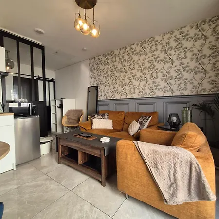 Le Nid Douillet Calme Proche Du Centre Parking Video Projecteur * Brest