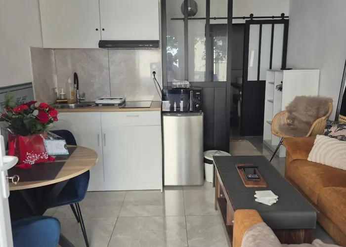 Le Nid Douillet Calme Proche Du Centre Parking Video Projecteur *