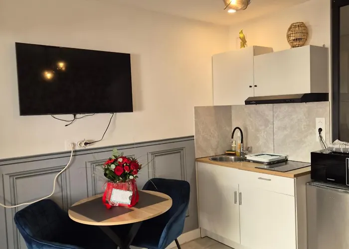 Le Nid Douillet Calme Proche Du Centre Parking Video Projecteur 布雷斯特