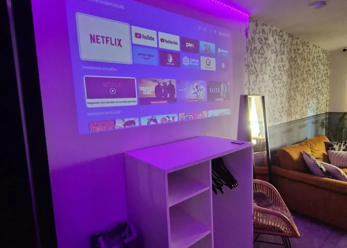 公寓 Le Nid Douillet Calme Proche Du Centre Parking Video Projecteur